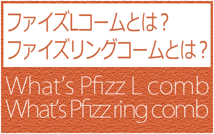 ファイズコームとは？